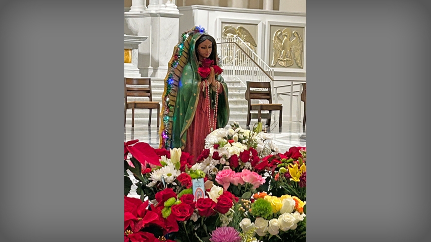 Cathedral hosts Our Lady of Guadalupe celebration 