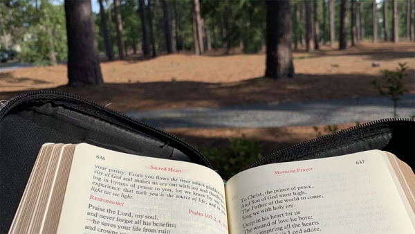 #breviaryviews