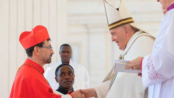 Pope asked Spanish Cardinal to review seminaries around the world